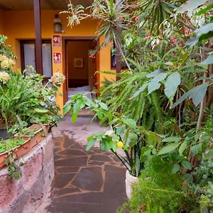 La Asomada Del Gato San Cristóbal de La Laguna